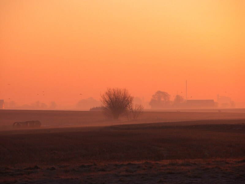 Susanne Nilsson - Misty Morning