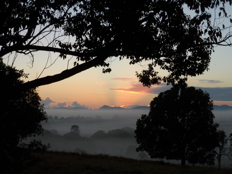 Liam 38 - Misty Morning