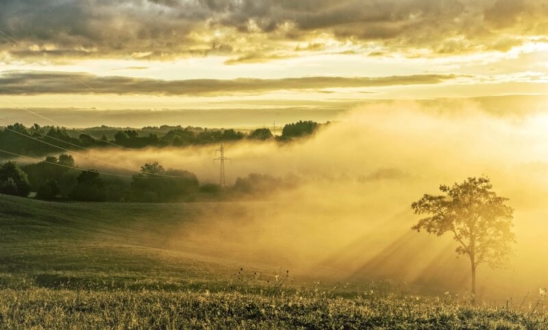 Wiesław Ludwiczak - misty morning