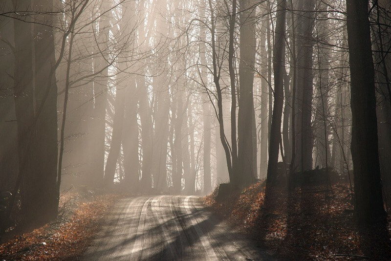 Heather Katsoulis - misty morning