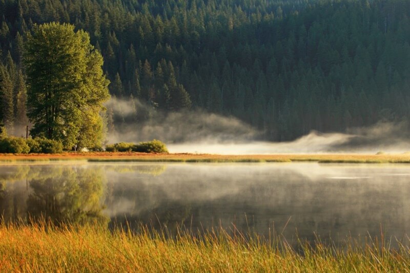 Ian Sane - Misty Morning