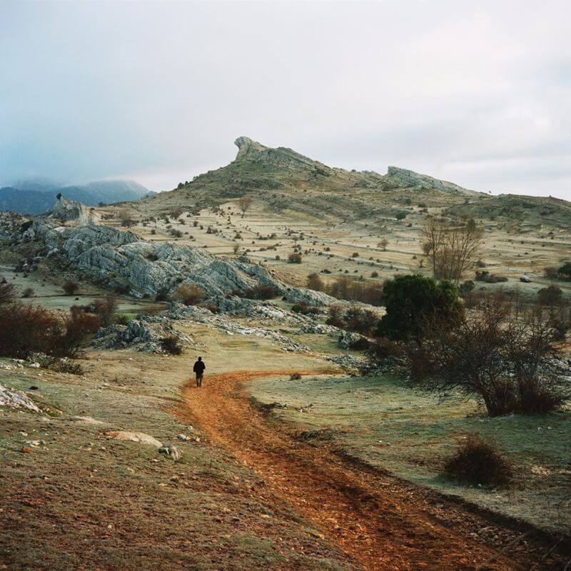 Antoine Bruy - Scrublands