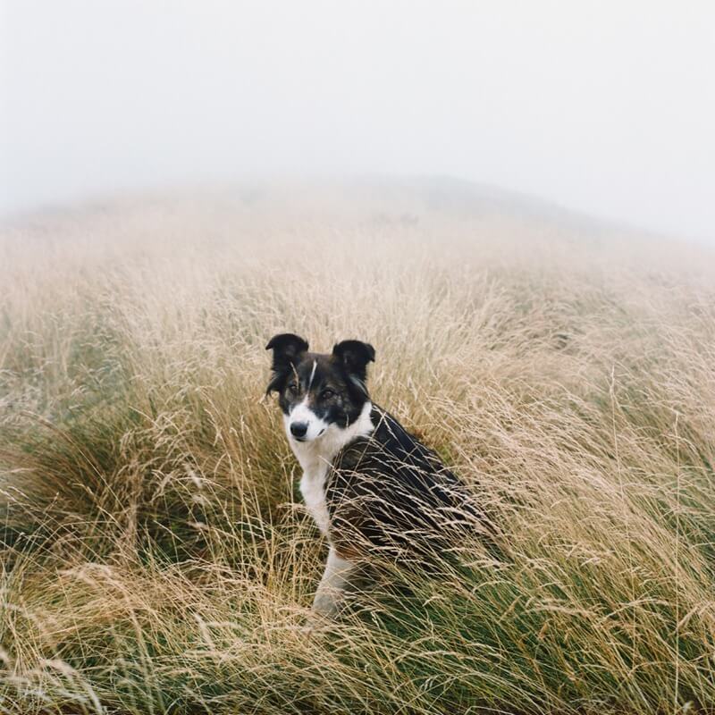 Antoine Bruy - Scrublands