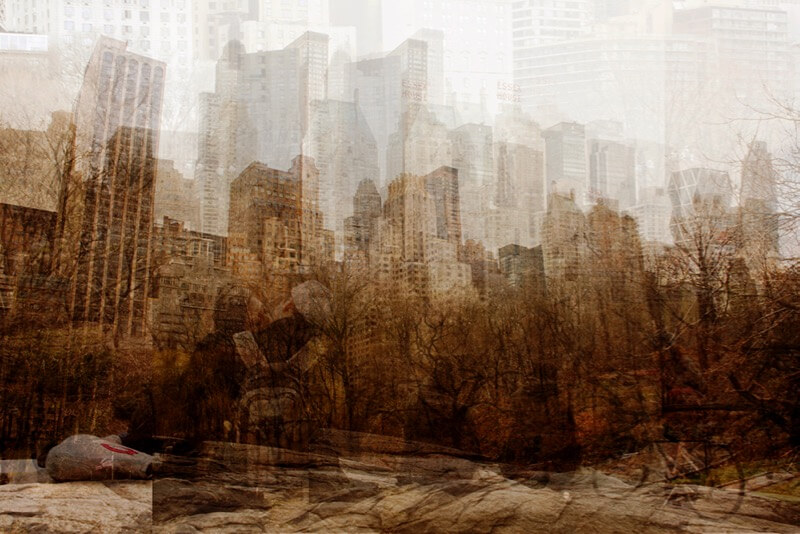 Central Park (New York)