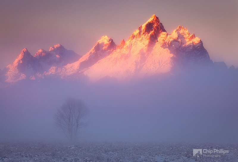 Chip Phillips - Grand Teton Mist