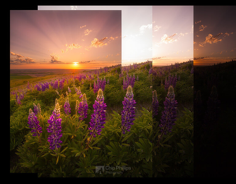 Chip Phillips Photography