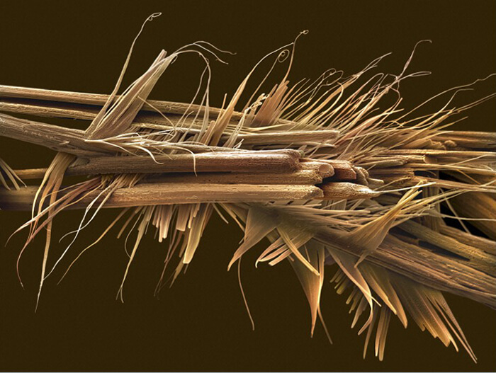 Caffeine Crystals