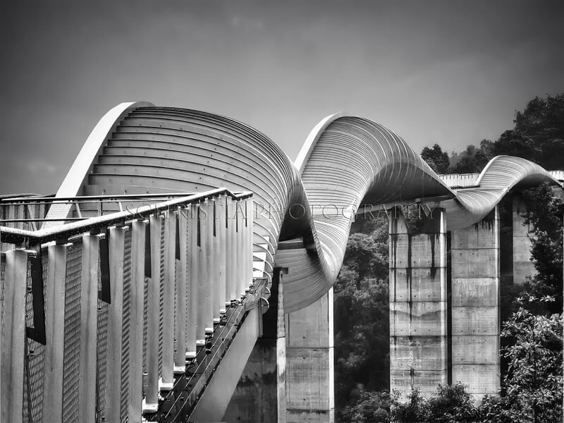 Henderson Waves bridge