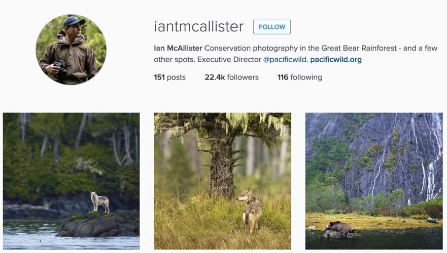 Ian McAllister