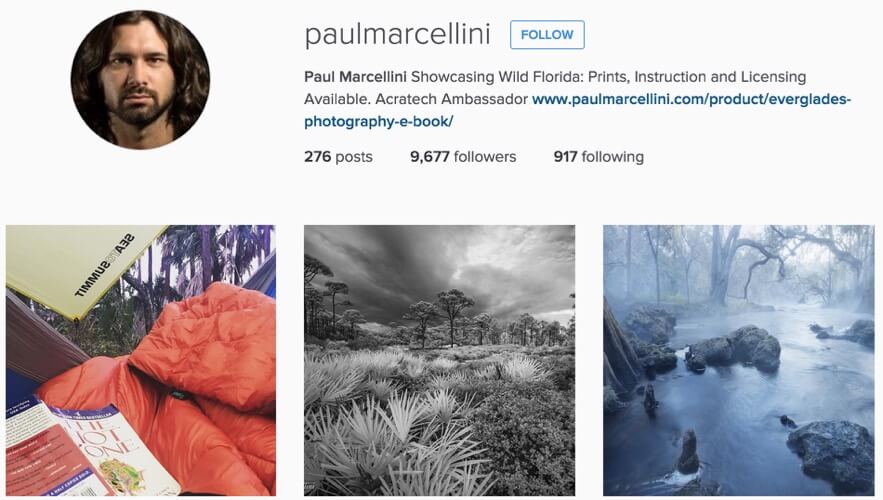 Paul Marcellini