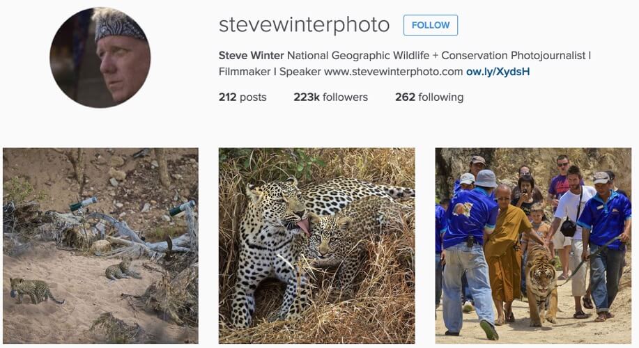 Steve Winter