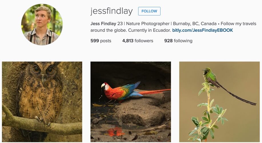 jess findlay