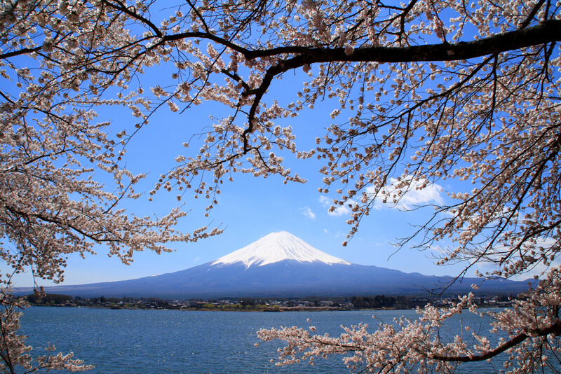 Mount Fuji