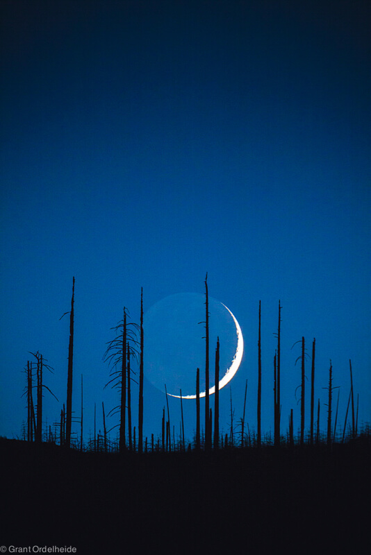Crescent Moon simplicity