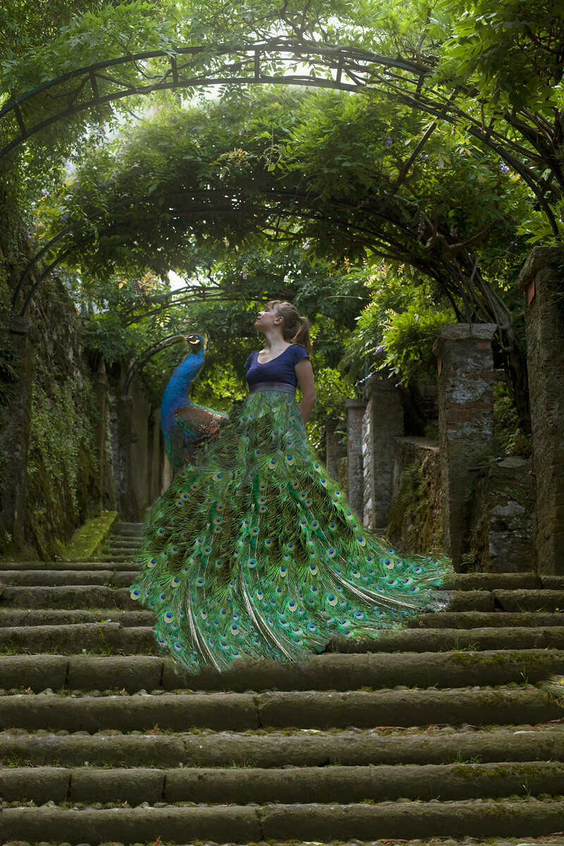 Erika Zolli Into the Mystic