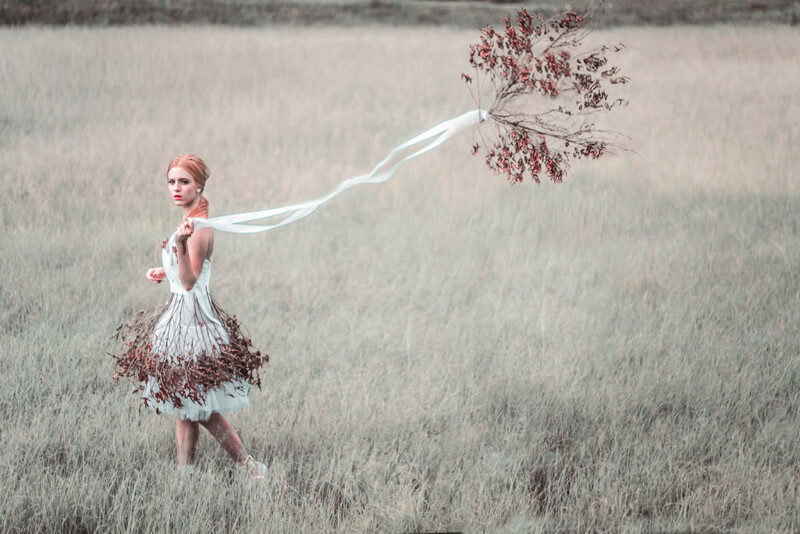 Bring your Imagination