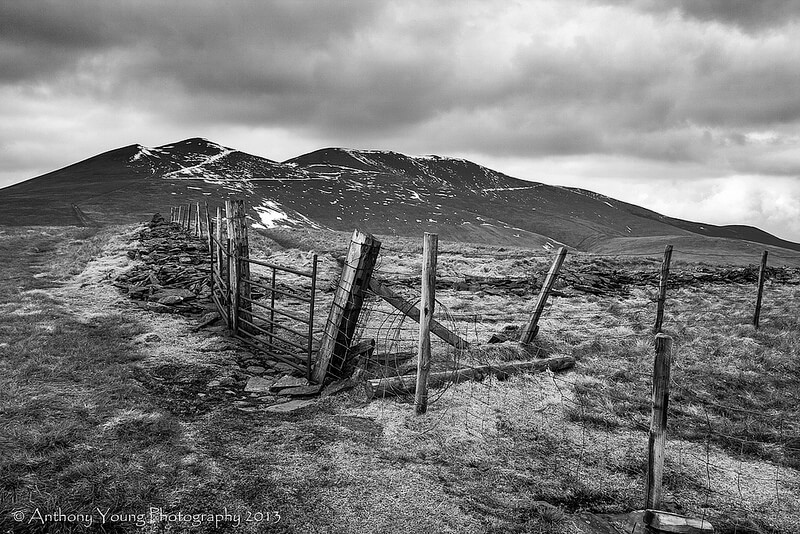 black and white fence