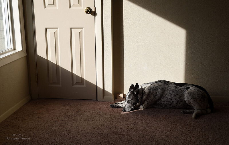 sun beam