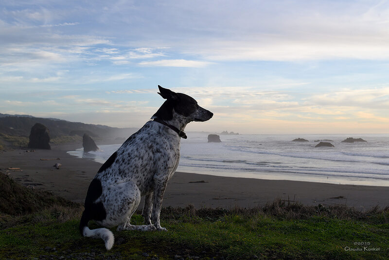 beach view