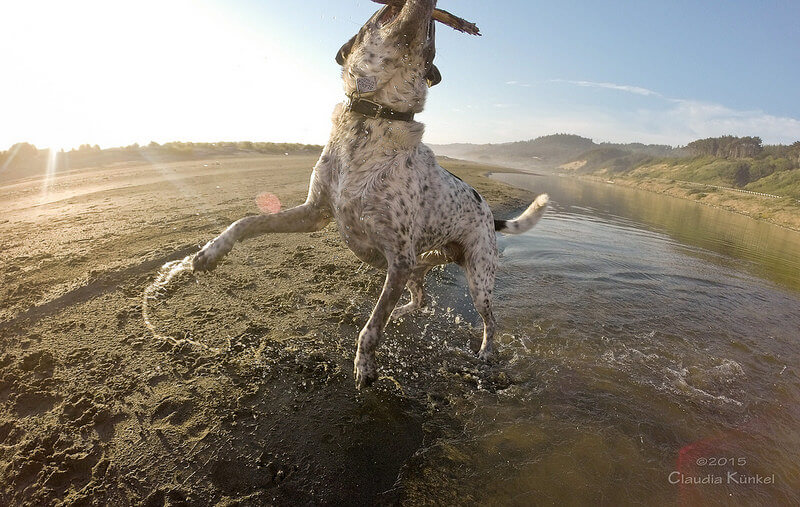 playing with stick