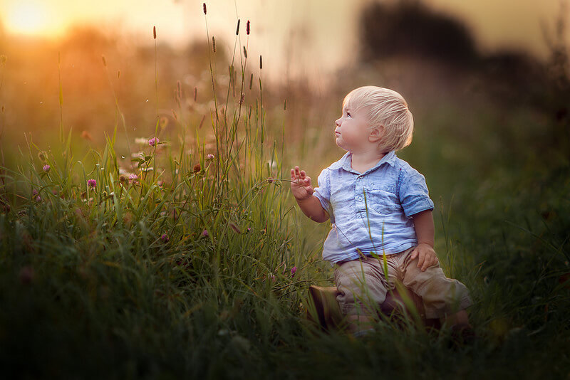 boy in high grass