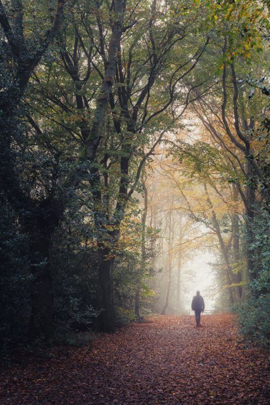 Holt Country Park