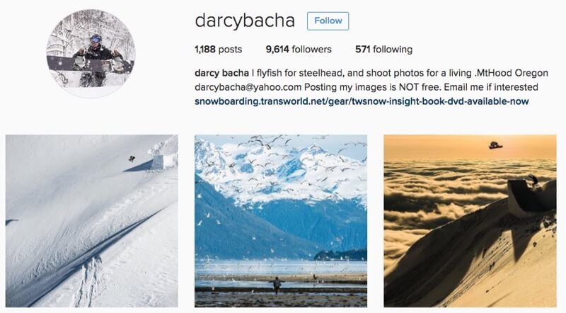 Darcy Bacha