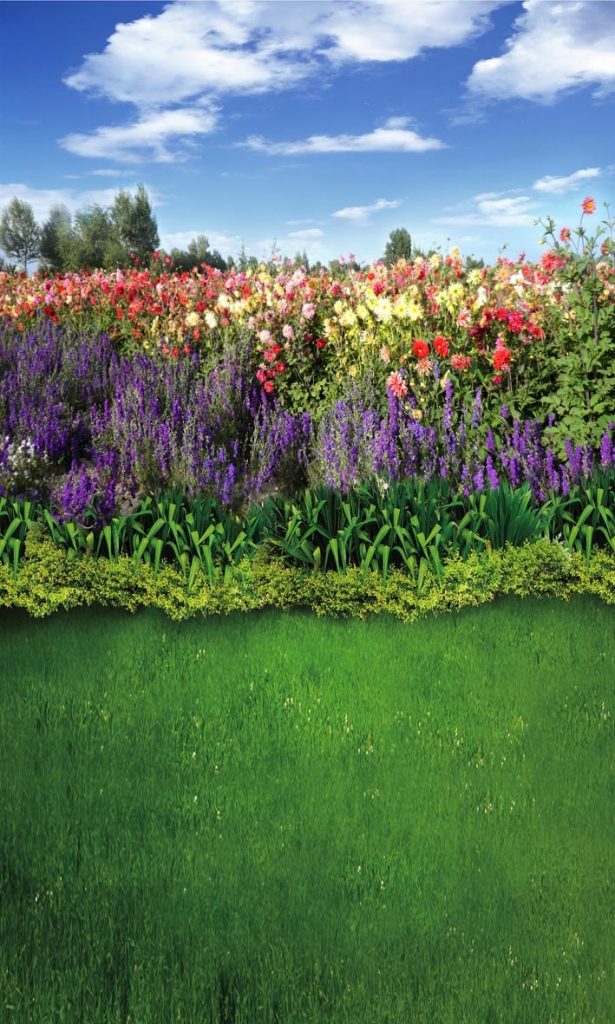flower backdrop