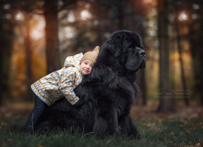 big dogs and little kids