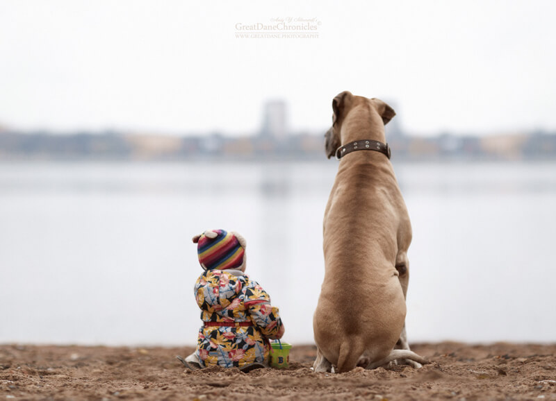 big dogs and little kids