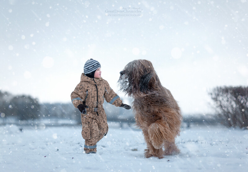 big dogs and little kids