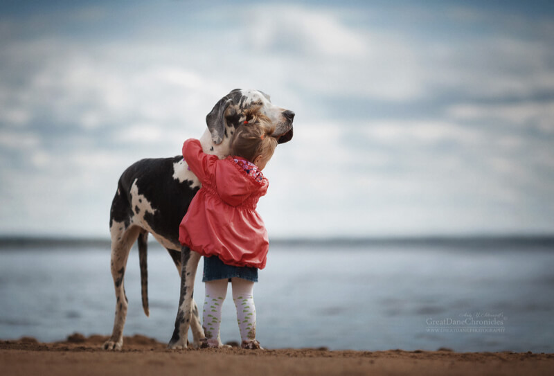 big dogs and little kids