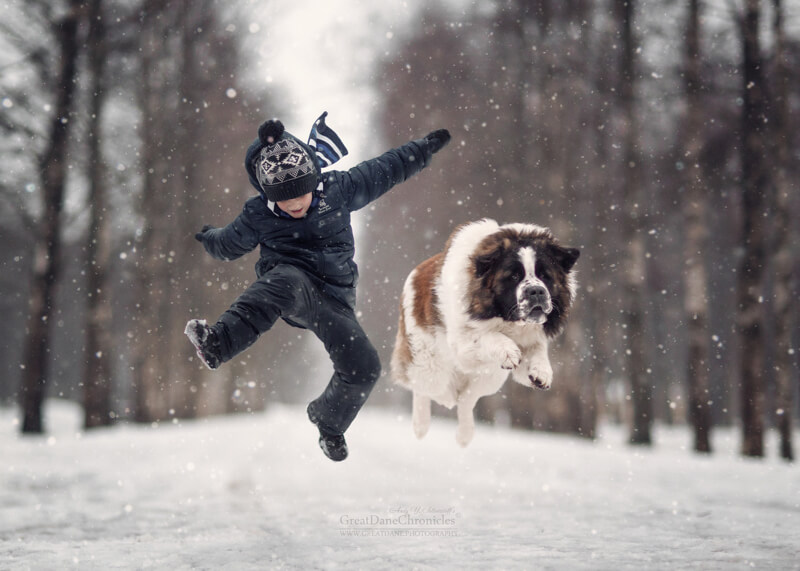 big dogs and little kids