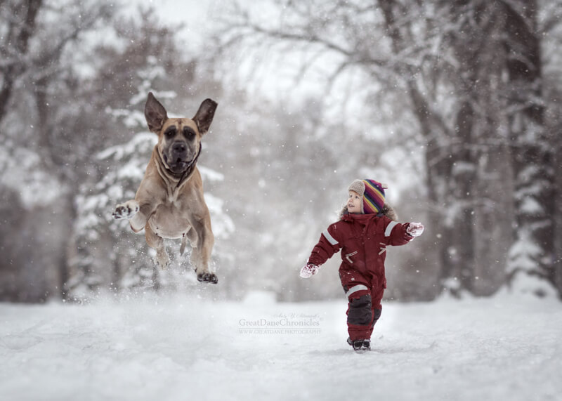 big dogs and little kids