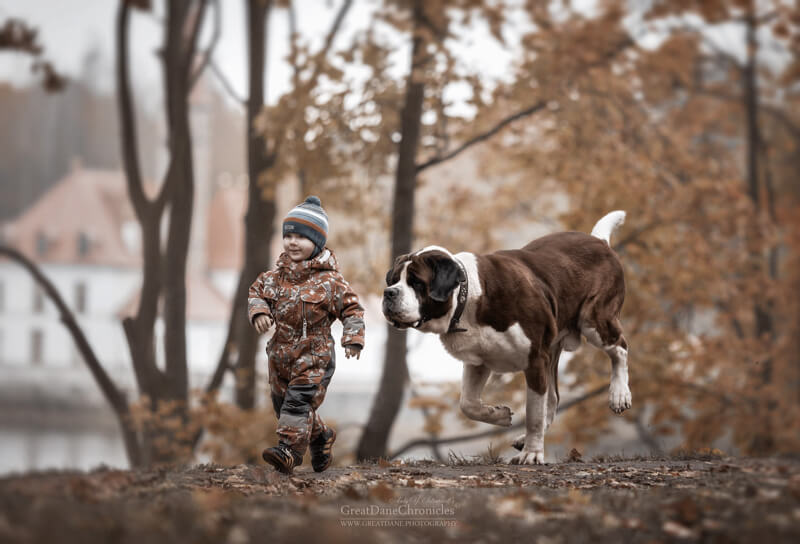 big dogs and little kids