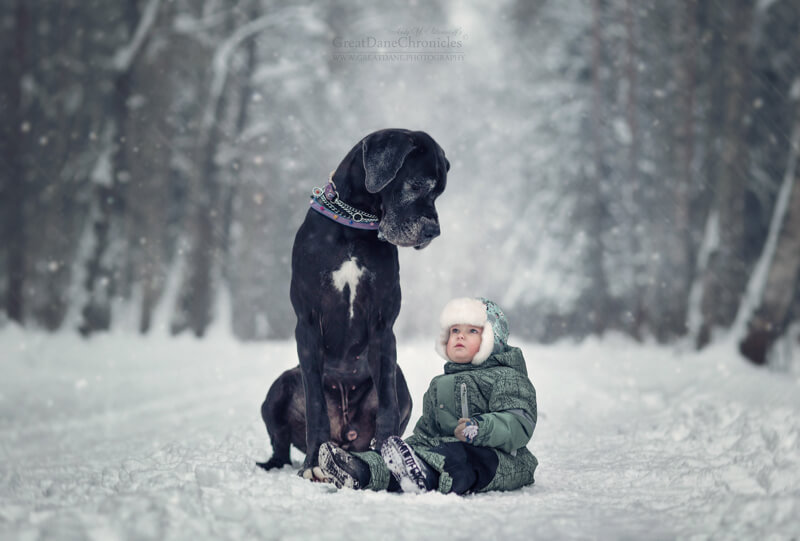 big dogs and little kids