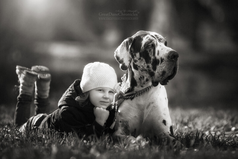 big dogs and little kids