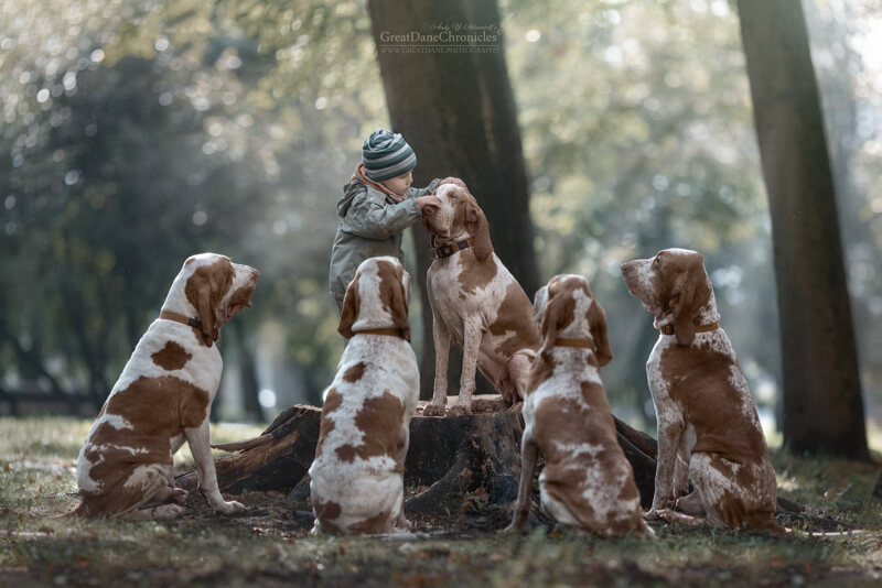big dogs and little kids