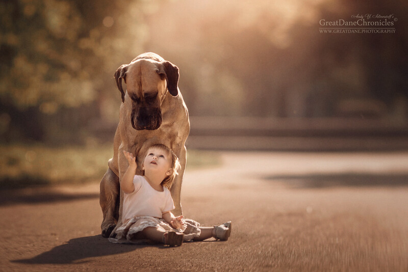 big dogs and little kids