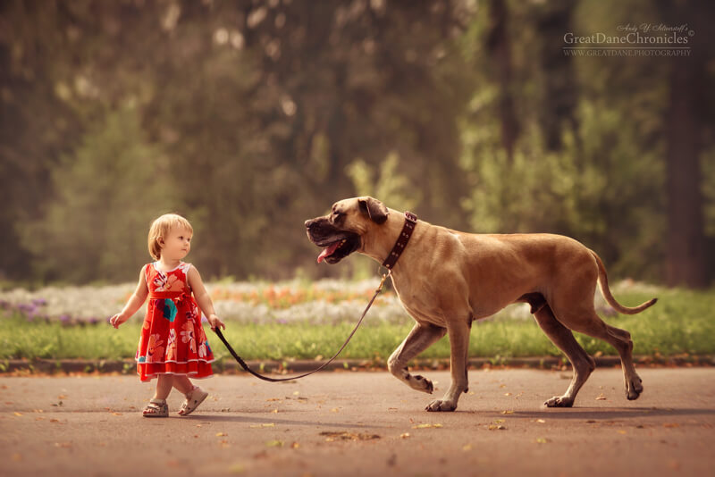 big dogs and little kids