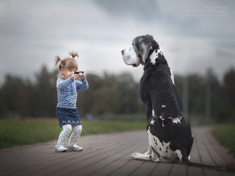 big dogs and little kids