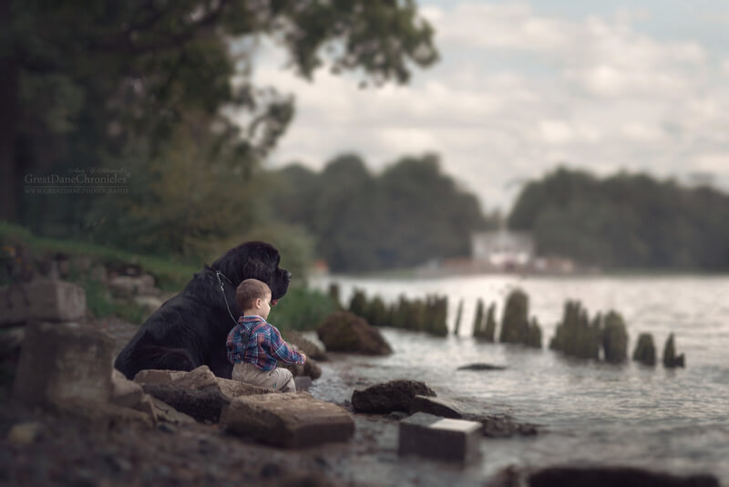 big dogs and little kids