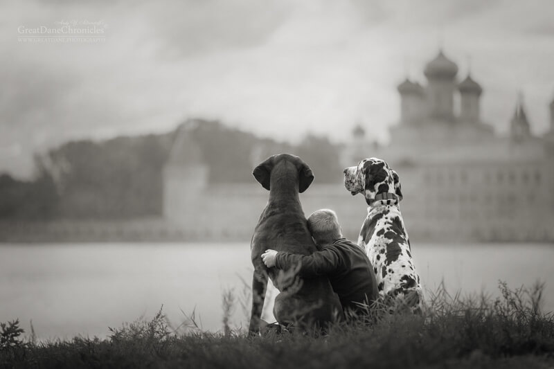 big dogs and little kids