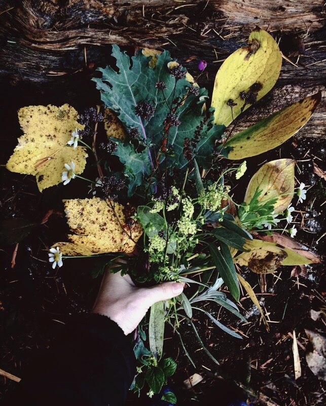 Grape, kale, peony, parsley, mint, oregano, sage, heather, feverfew.