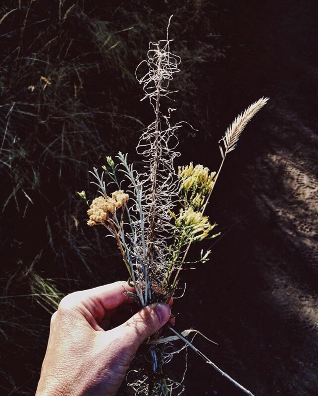 High desert late summer