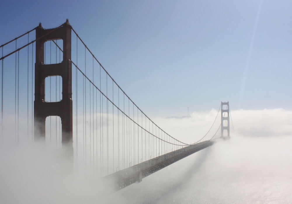 Mark Gunn - Somedays, I don’t have the foggiest what to shoot…