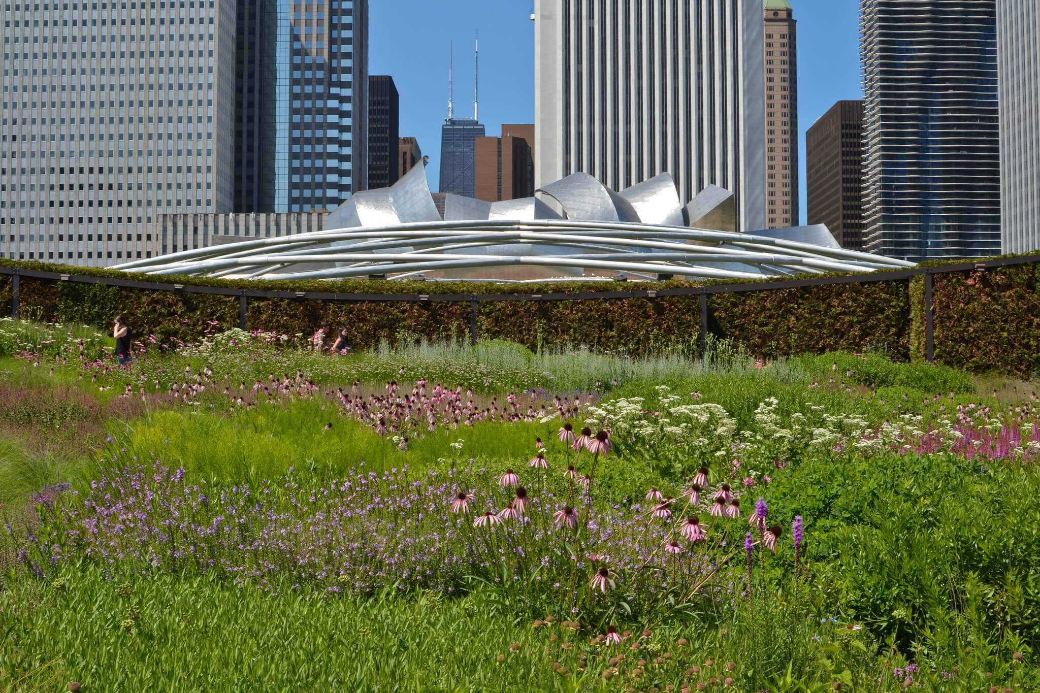 Center for Neighborhood Technology - Lurie Garden at Millennium Park – Chicago