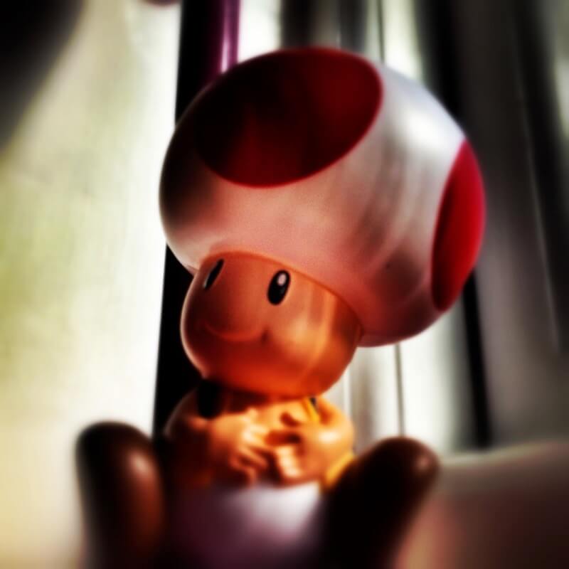 Toadstool