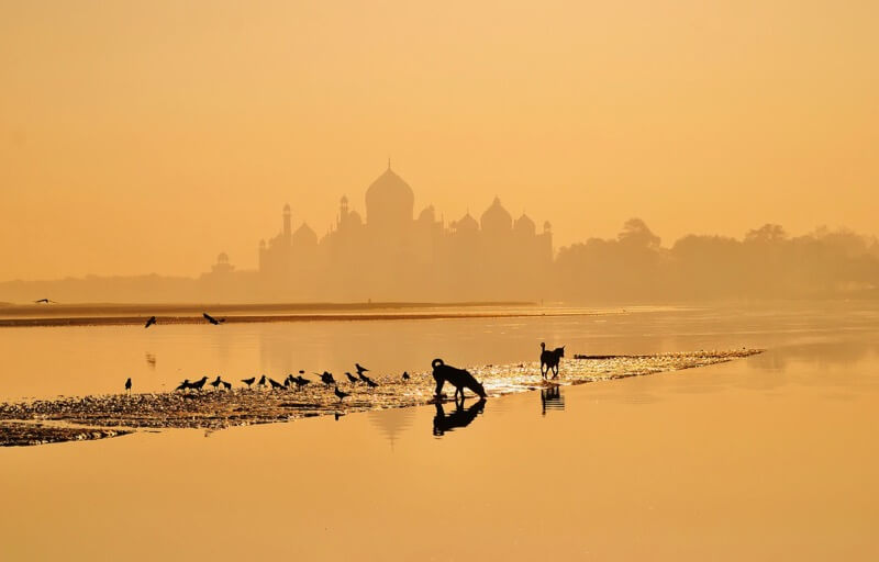 Taj Mahal