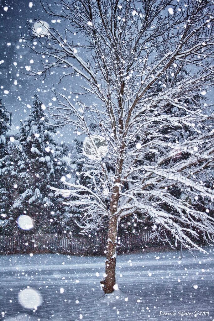 snowstorm
